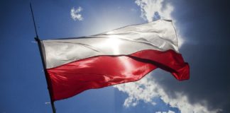 Sharing e-hulajnóg zdominowały polskie firmy
