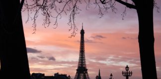 Francja - hulajnogi - rekordowa sprzedaż w 2021 r.
