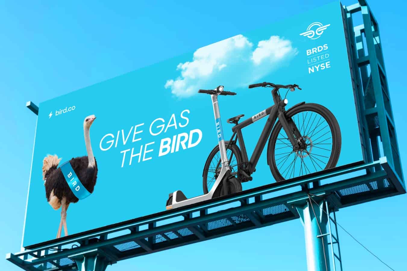 Plakat reklamowy firmy Bird - hulajnoga i rower