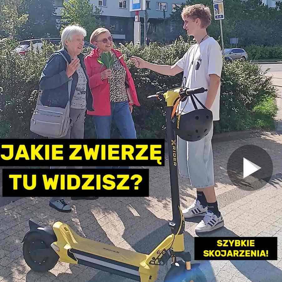 Sonda uliczna Xridera - z jakim zwierzęciem kojarzy się e-hulajnoga?